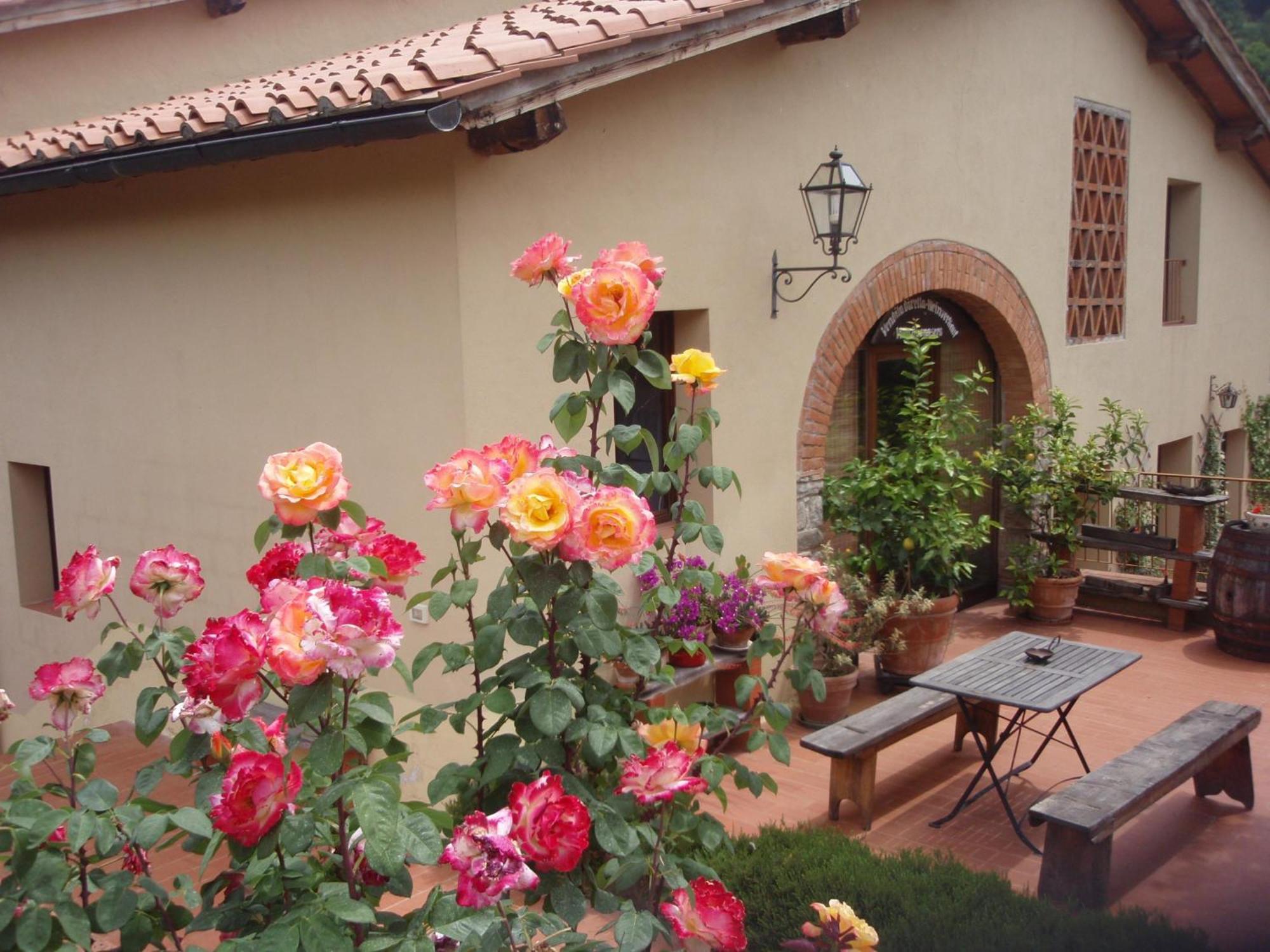 Villa Buonasera Agriturismo غريفي ان شنتي المظهر الخارجي الصورة