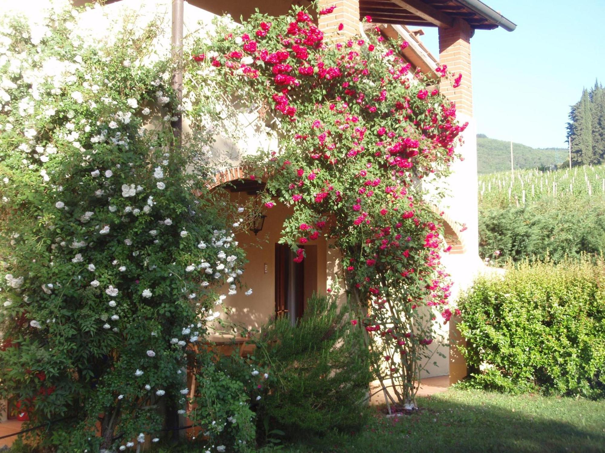 Villa Buonasera Agriturismo غريفي ان شنتي المظهر الخارجي الصورة